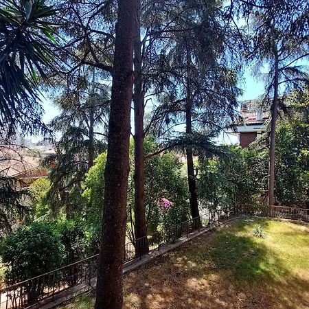 Apartman Eur Trepini Luxury Loft