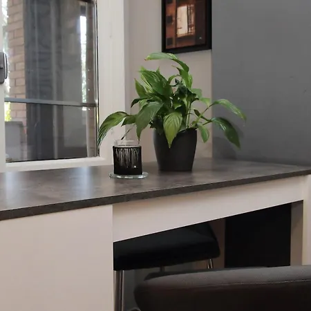 Apartman Eur Trepini Luxury Loft *