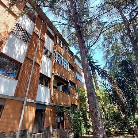 Eur Trepini Luxury Loft