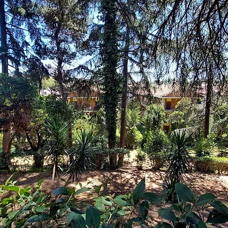 Eur Trepini Luxury Loft Ρώμη